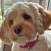 Olga Walker - Facebook