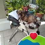 Olga Walker - @olga.walker.902819 - Instagram