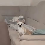 Olja - @olgawalker_ - Instagram