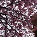 Olga Westfal - Facebook