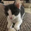 Oli - @oli.harris - TikTok