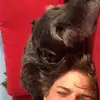 Oli - @oli_harris - TikTok