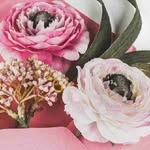 Olin Harris - @olinharris71 - Instagram