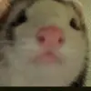 Olive Allen - @oliveallen607 - TikTok