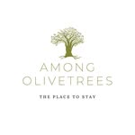 Among Olivetrees - @amongolivetrees - Instagram