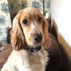 Oliver Barton - @oliverbarton8 - TikTok