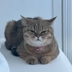 Olive Bean - @sassyoliver - Instagram