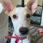 Olive Bean - @olivebeanige - Instagram
