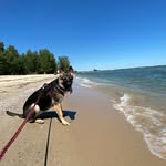 Olive Bean - @olivebean0221 - Instagram