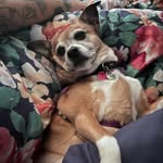 olive bean - @littleolivebean - Instagram