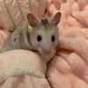 olive bean🥺 - @olive..bean - TikTok