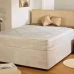 Olive Bean - Facebook