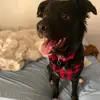 Olive Bean - @olivebean0515 - TikTok