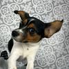 Olivebean - @olive.bean_ - TikTok