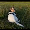 Olivebean - @olivebean6 - TikTok