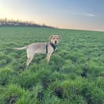 Olive Blair - Facebook