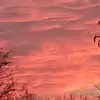 Olivexblair - @xxroblox_storysxx44 - TikTok