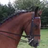 Olive Bowen - @olivebowen - TikTok
