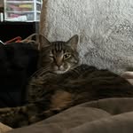 Olive Burns - @dr.pepper_lover4sure - Instagram