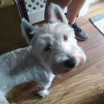 Oliver Burns - @oliver.burns.585 - Instagram