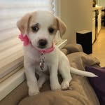 Olive Elizabeth Cannon - @pdxolive - Instagram