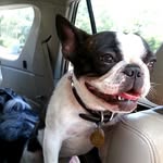 Olive Cook-Gilliam - @olivefierce - Instagram