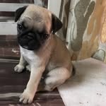 Olive-cookie - @olive_cookie - Instagram
