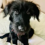 Olive Farrell - @olivefarrell2024 - Instagram