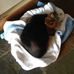 Olive Farrell - Facebook