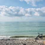 Olive Ocean Fields - @oliveoceanfields - Instagram