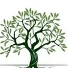 olive.fields_school.rp - @olive.fields_school.rp - TikTok