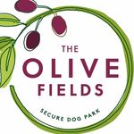 The Olive Fields - @theolivefields - Instagram