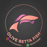 Olive Betta Fish ✨ - @olive.bettafish_ - Instagram