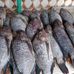 Olive Fish Vendors - Facebook