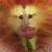 olive fishbacon - @olivefishbacon - TikTok