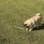 Oliver Fisher - @oliver.d.fish - Instagram