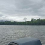 Oliver Kerr - @oliver.fishing - Instagram