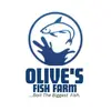 Olive's Fish Farm - @olives.fish.farm - TikTok
