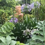Olive Fitzpatrick - @olivefitzpatrickrafter - Instagram