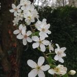 Olive Flowers - @olive_flowers92 - Instagram
