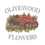 Olivewood Flowers - @olivewoodflowers - Instagram