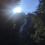 Olive Forbes - @forbes.olive - Instagram