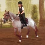 𝐎𝐥𝐢𝐯𝐞 𝐅𝐨𝐫𝐛𝐞𝐬 - @forbes.equestrian - Instagram