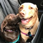 Olive Ford & Poppy Smith - @olive_and_poppylou - Instagram