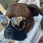 Olive - @olive_ford_ - Instagram
