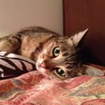 Olive Foster - @orcuttolive - Instagram