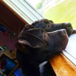 Frank&Olive - @olive.frank2 - Instagram
