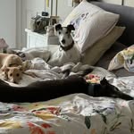 Olive & Frank - @olive_and_frank - Instagram