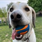 Olive Frank - Facebook