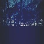 Olive Franklin - @oliver_frank_1 - Instagram